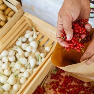 Bled Market, Photo: www.bled.si Bled Market, produce