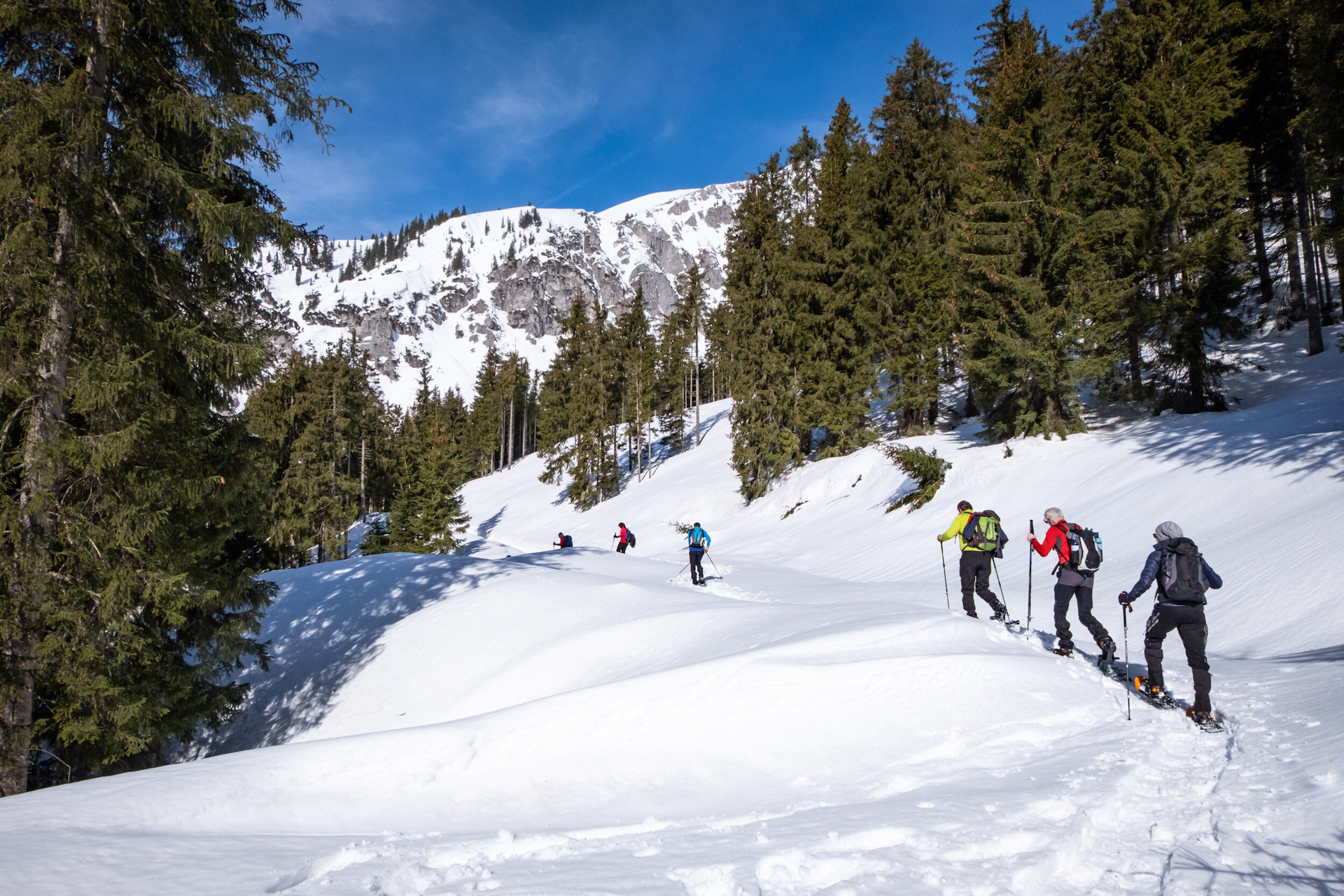Snowshoeing – walking on clouds of snow