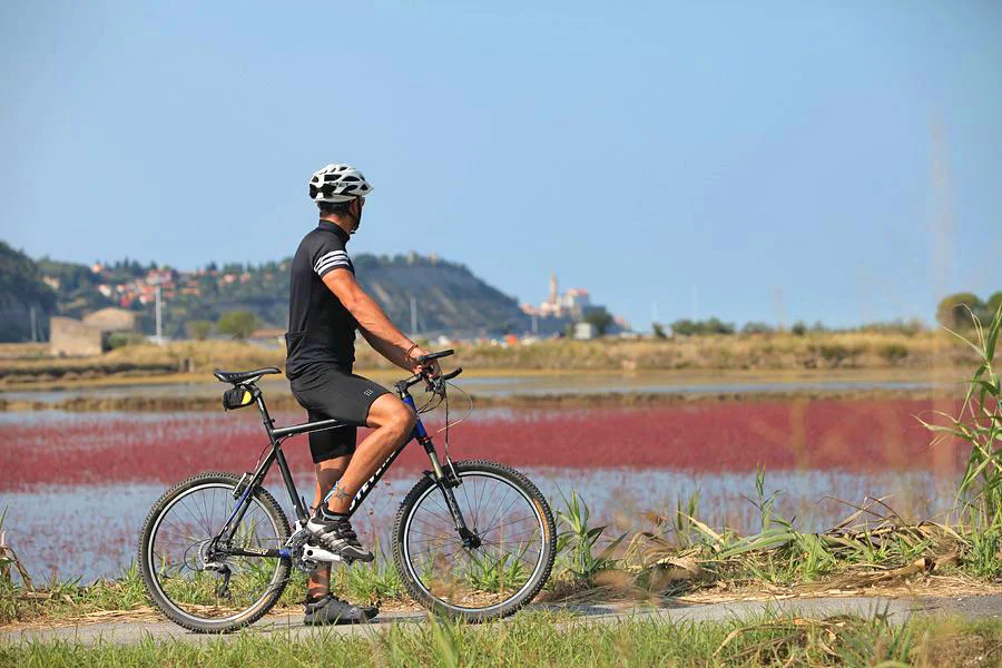 The loveliest cycling trails on the Slovenian coast