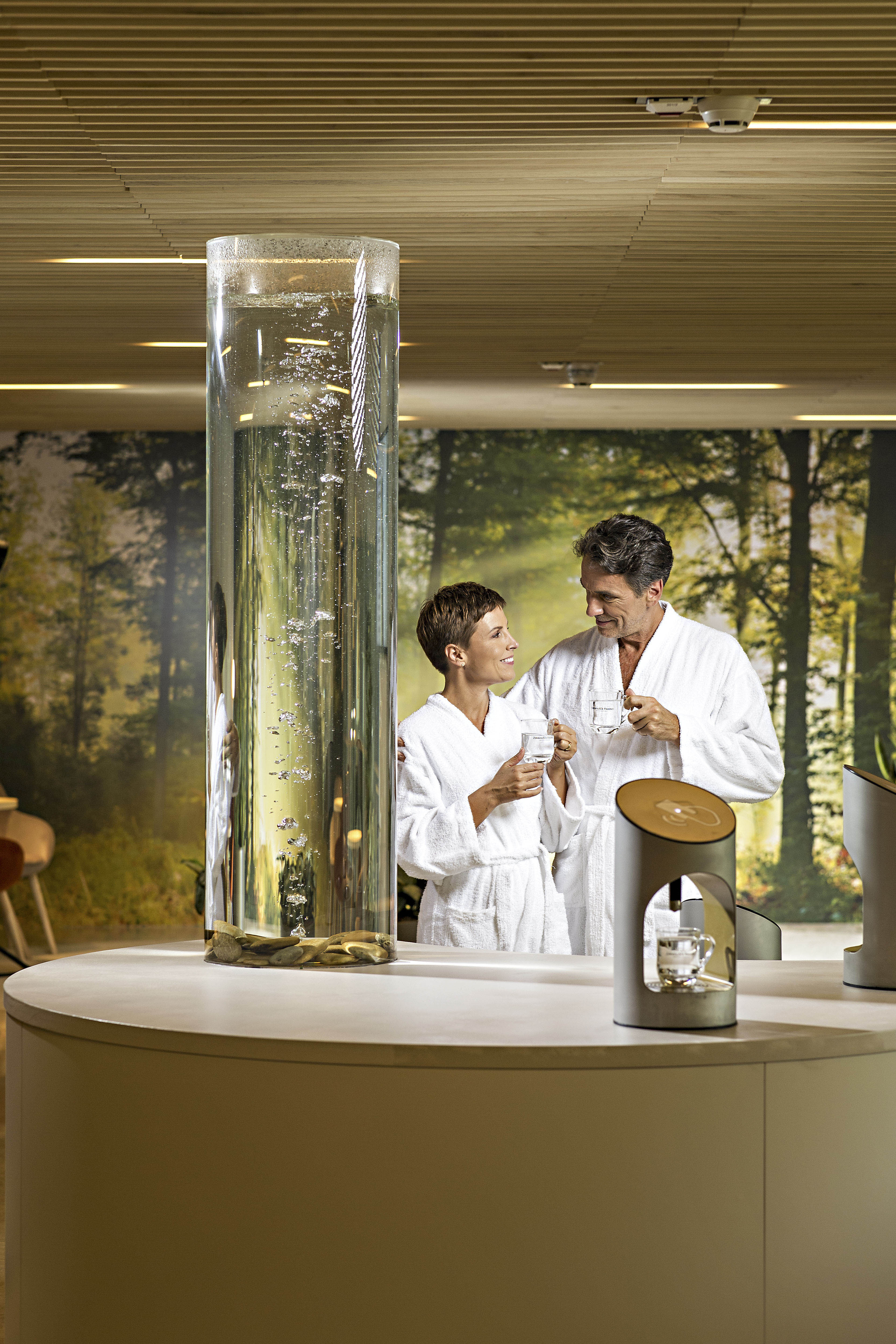 Zdravilišče Radenci